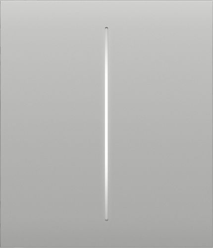 AJAX Button (white) CenterButton (2-gang)